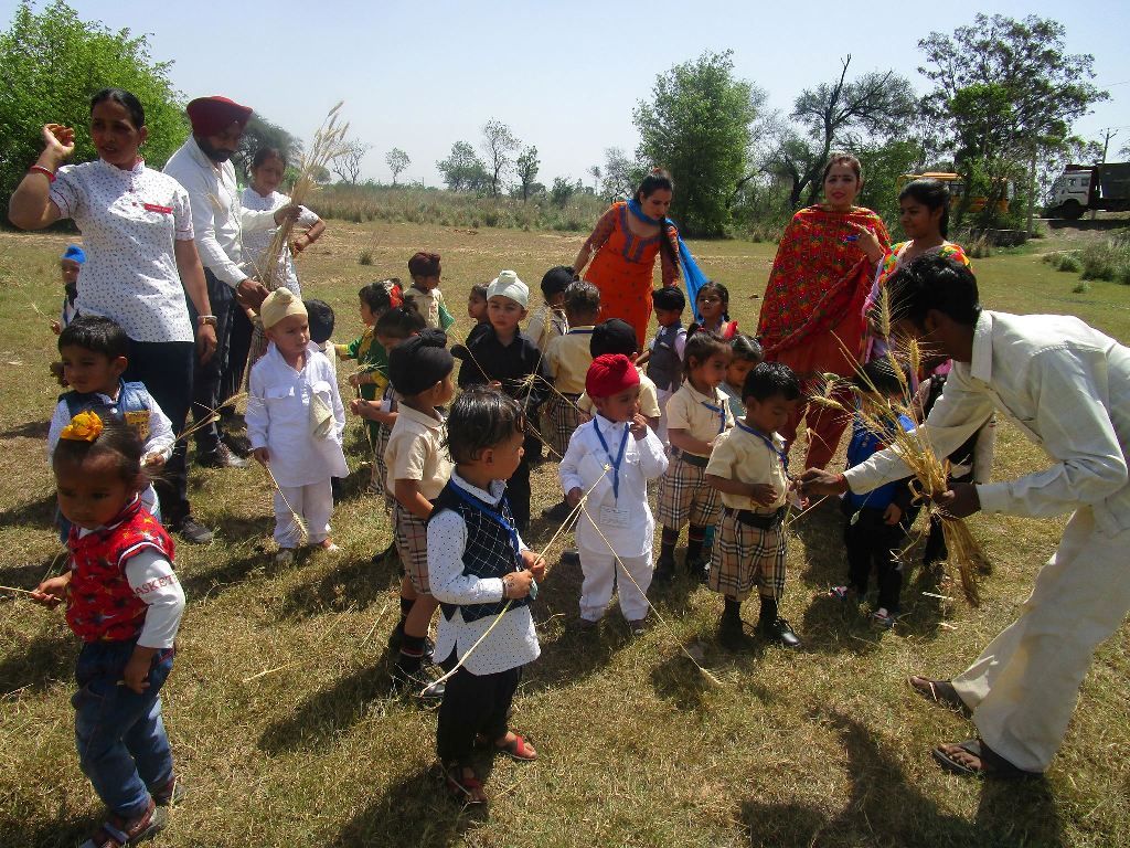 Top 10 schools in Rajpura