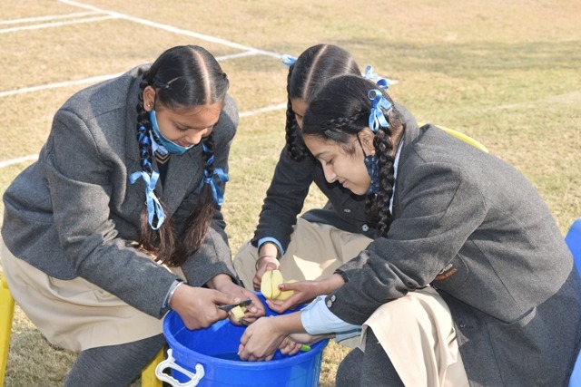 Top CBSE Schools in Rajpura