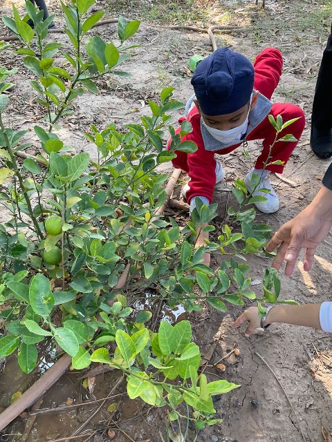 Nature Walk Activity