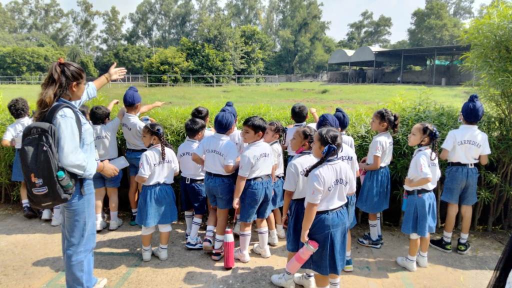 Best Schools in Rajpura Punjab