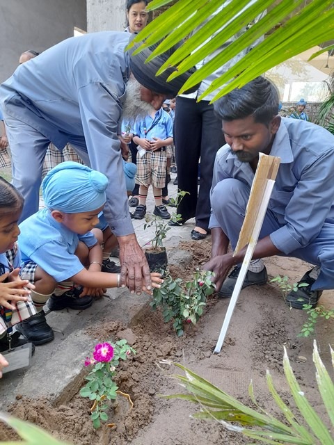 Sapling Plantation Drive