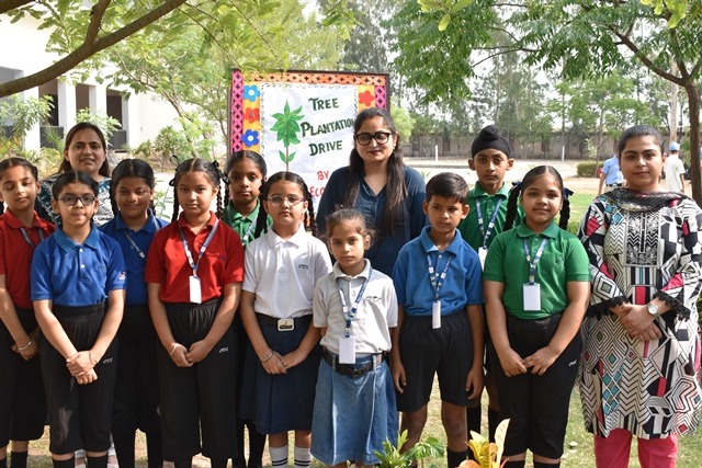 Tree Plantation Drive