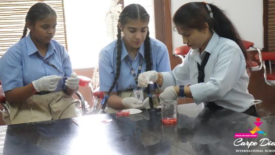 Best School in Rajpura