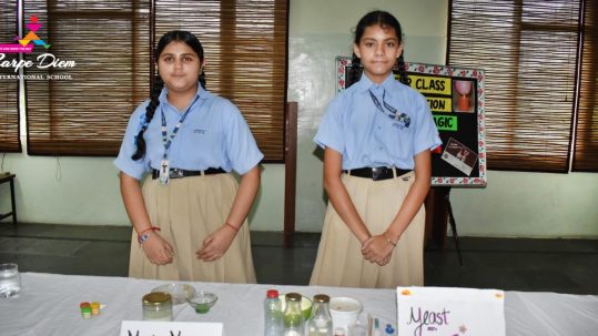 best schools in Rajpura