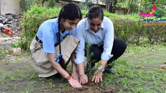Best Schools in Rajpura