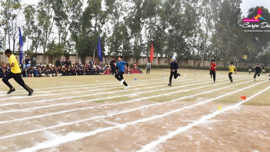 Best Schools in Rajpura Punjab