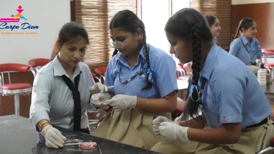 best schools in Rajpura Punjab