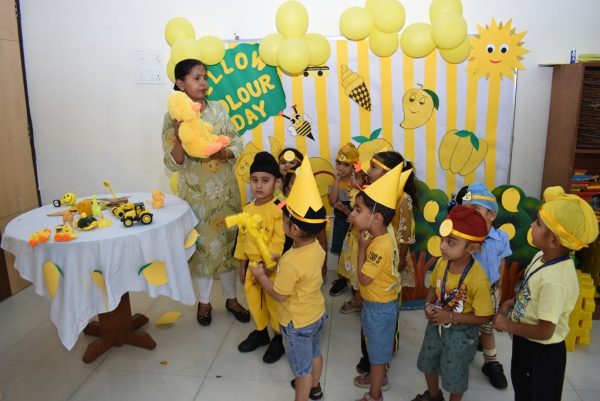 Yellow Day Celebration (12)